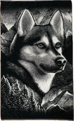 7546 ХАСКИ