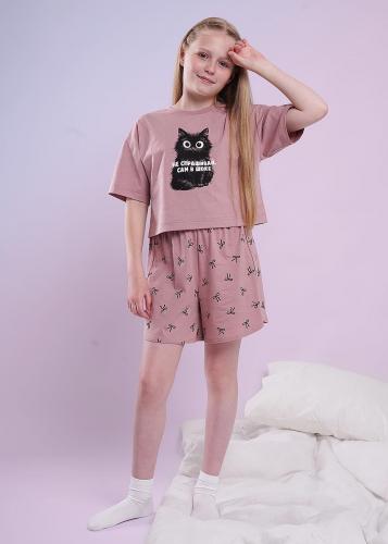 CLEVER 909607кд_п роз 01