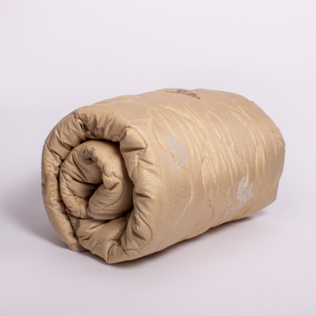 21.03.25