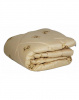 21.03.25